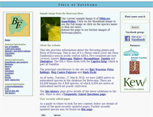 Tablet Screenshot of botswanaflora.com